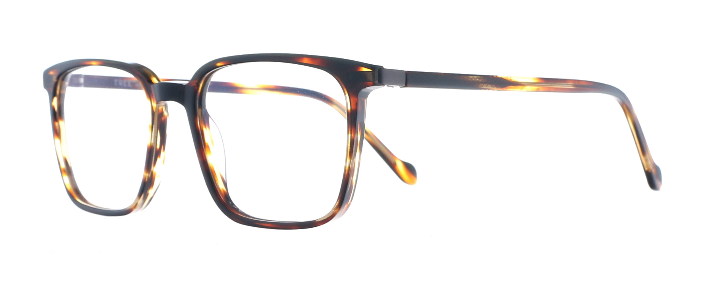 Picture of Tree Bruno